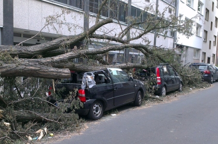 ביטוח אלמנטרי - סוכן ביטוח רכוש ותאונות